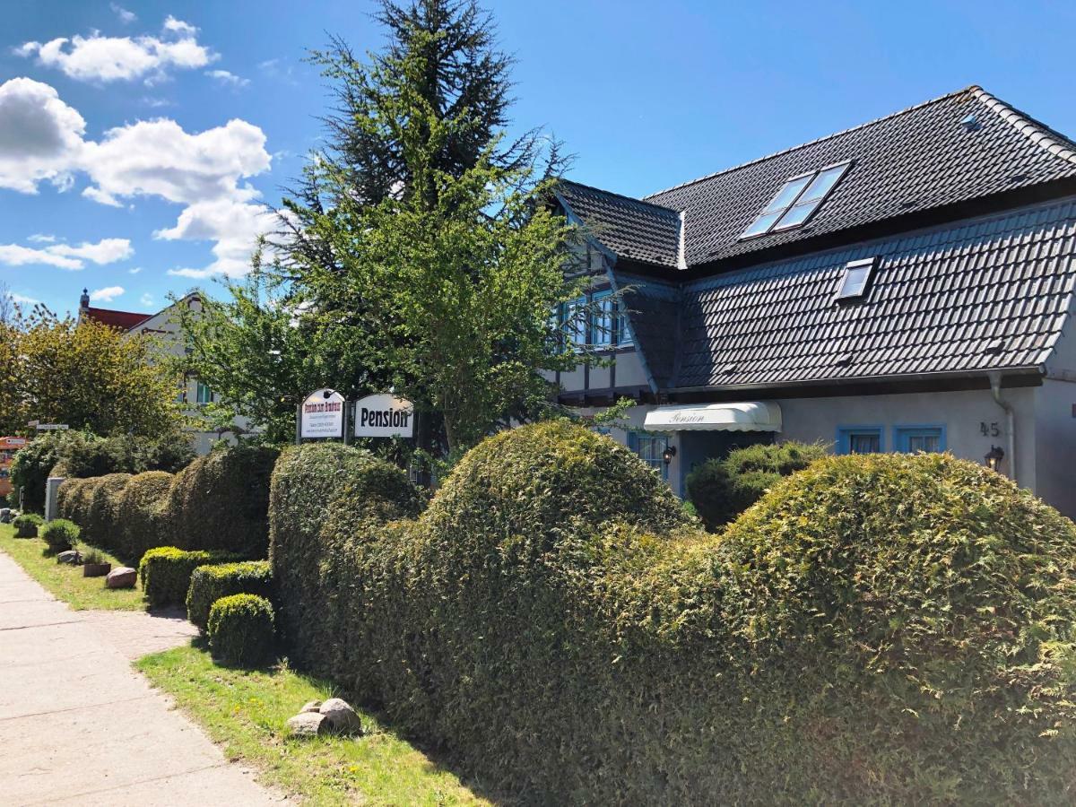 Pension Zum Brauhaus ชตราลซุนด์ ภายนอก รูปภาพ